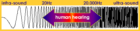 Frequency range of human hearing