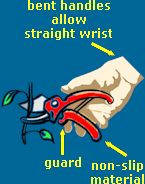Straight wrist