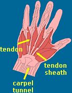 Hand structure