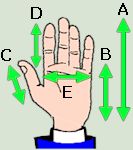 Hand measurements